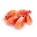 Креветка северная 90/120 варёно-мороженая 5 кг