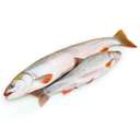 Голец камчатский неразделанный, мороженый ~ 600 г