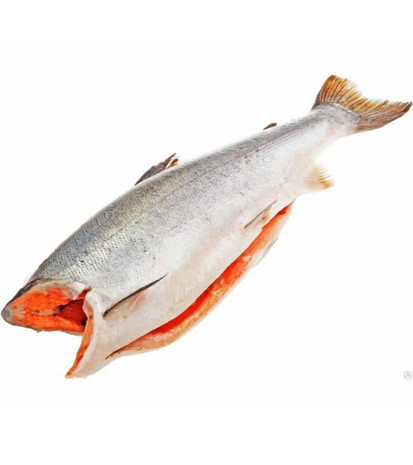 Горбуша свежемороженая потрошеная. Семга без головы. Форель кижуч. Чавыча дикий лосось. Королевский лосось чавыча.